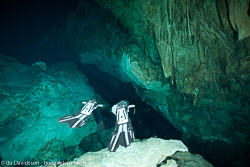 BD-101210-Cenotes-3021-Homo-sapiens.-Linnaeus.-1758-[Diver].jpg